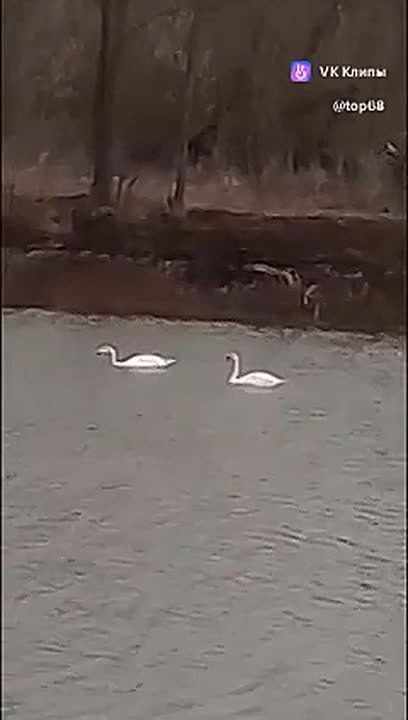 �� ���� � ������������ ���� ��������� ������