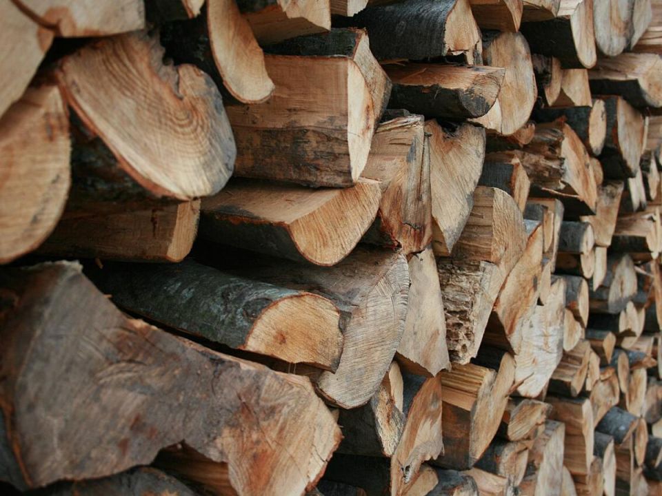 ��� ���������� ����� �����: ������ �������� � ������ �� �������������