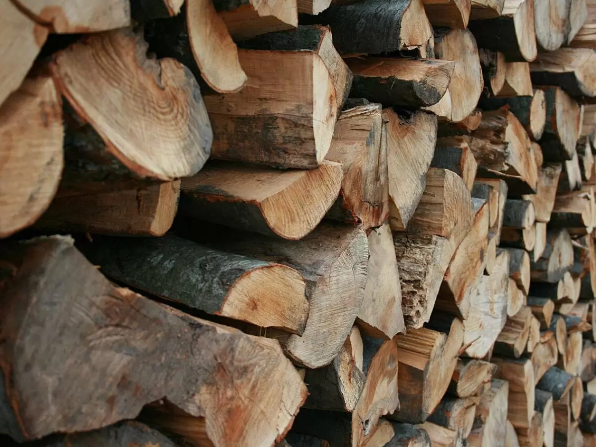 Как распознать сырые дрова: важные признаки и советы по использованию