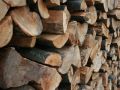 Как распознать сырые дрова: важные признаки и советы по использованию
