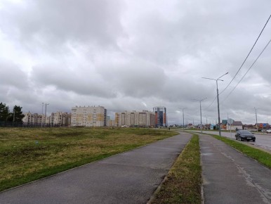 Североатлантический циклон на неделю накрыл Тамбовскую область