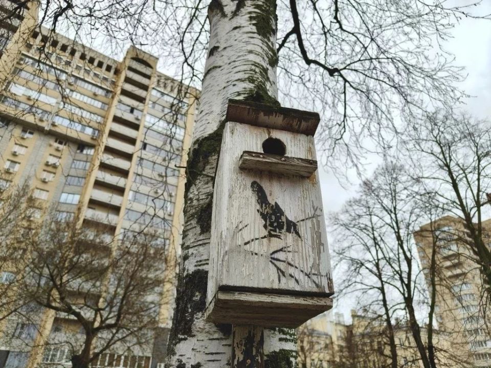 ������ ����, ������!. ������� ����� ������� � ��������