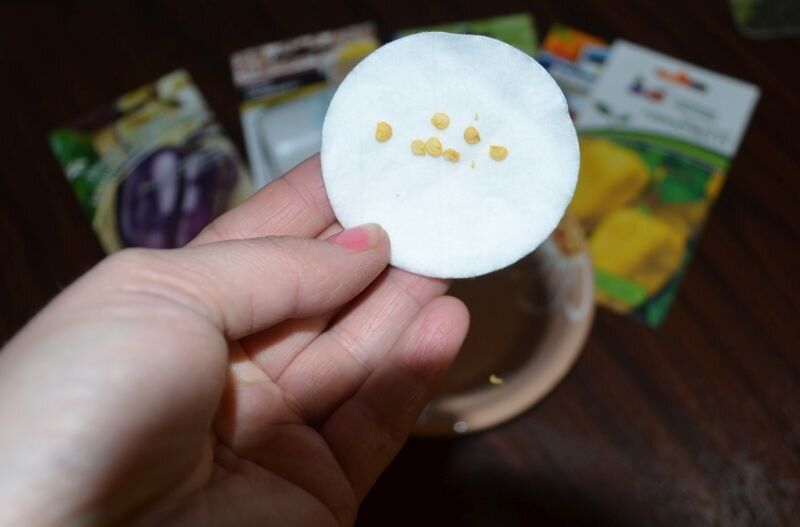 ����� ��� ������ � �������: ������ ������ ������