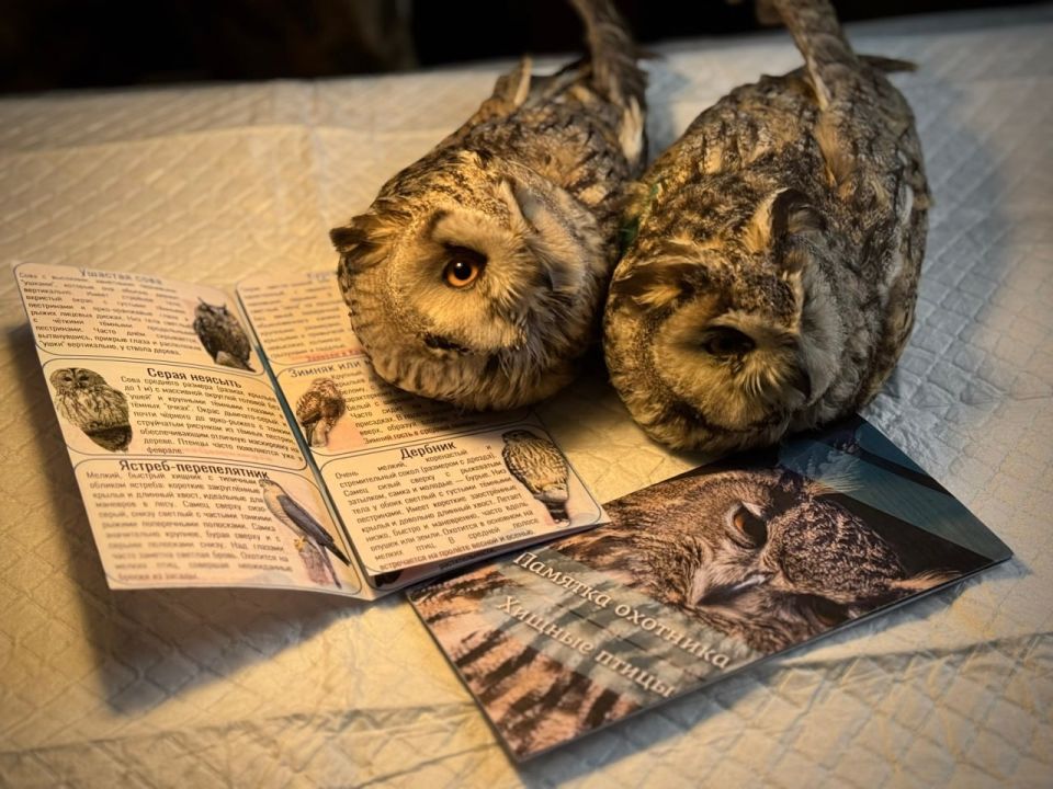 � ���������� ������� ��� ������� ���� ���������� �� ������������ ��������� �����������