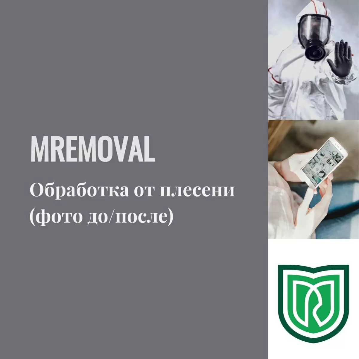 Как эффективно избавиться от плесени: проверенные шаги к здоровому дому