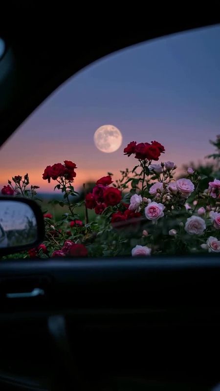 ������ �������� ���������