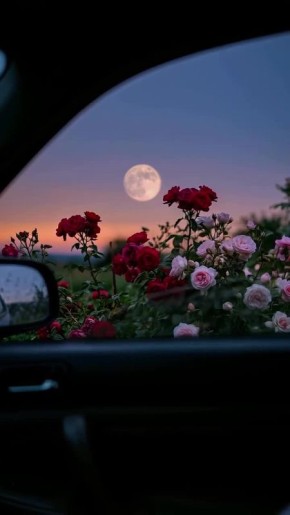 Вместо вечерней медитации