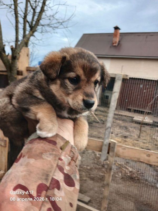 ���� �����: ����� ���� ���