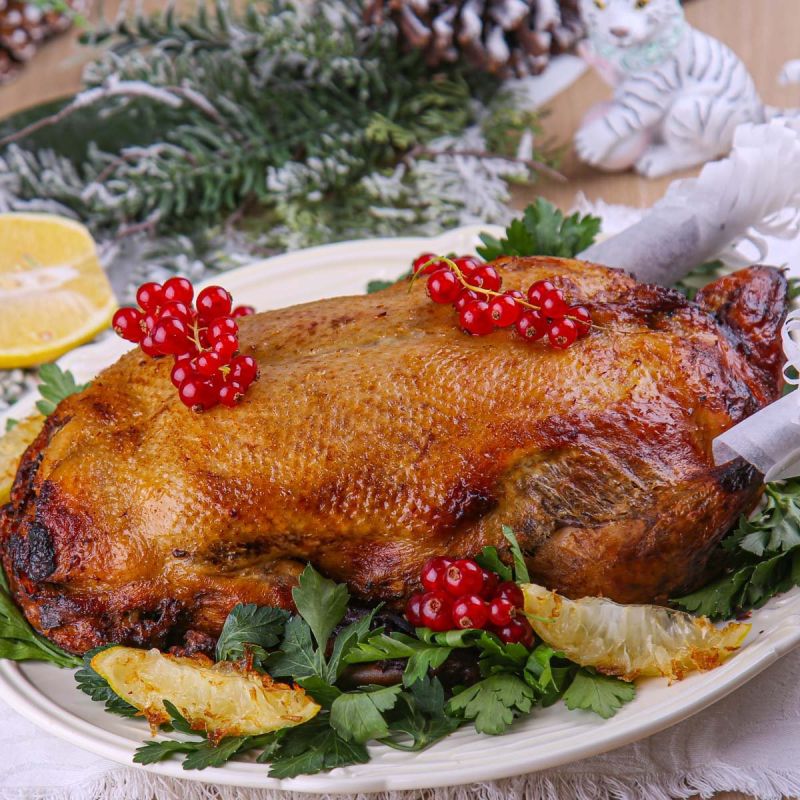 ���� ��� ����: ������� � ������ ���������