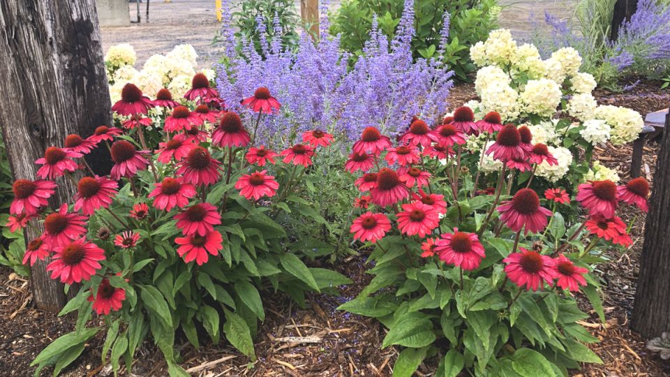 ��� ������������ ���� ����� ���������: 7 �������������� ������������� ��� ������ ����