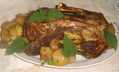 ��� ������ ���� � ��������� �������� � ������� ������������ �����