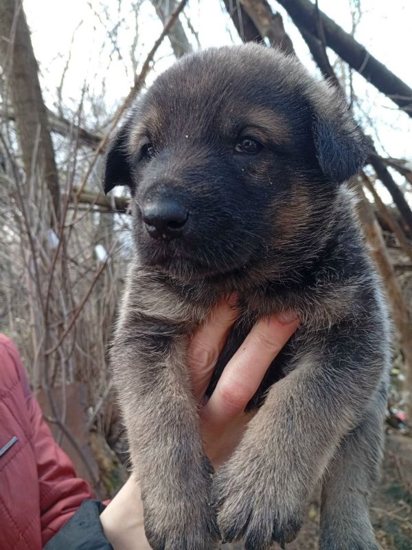 ���� �����: ��������� �����������