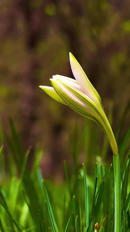 ������ �������� ���������