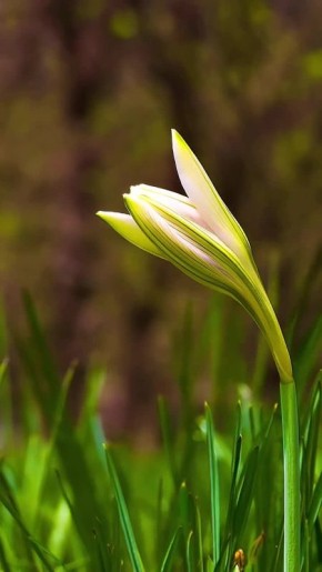 Вместо вечерней медитации