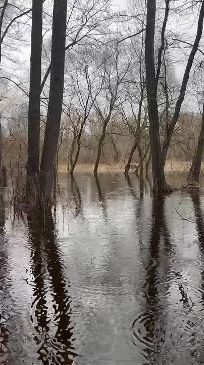 ����� �� ����������� ����� ������������ �����������