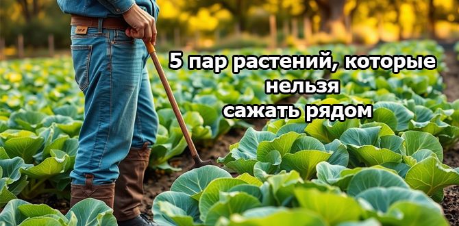 ��������� � �������: ����� ����� �� ����� ������ �����