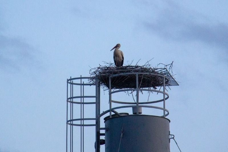 � ���������� ������ �� ������������ ����� ������ ����� ������ �������������� �����