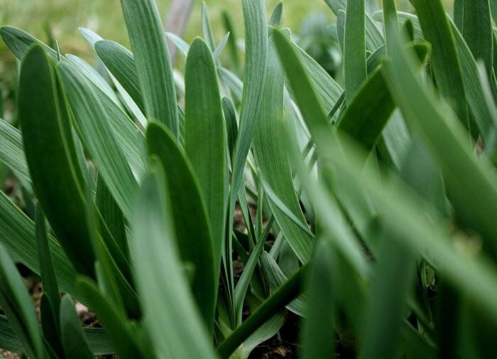 ���-������: ���� ����� ������� ������� �������� �� ����