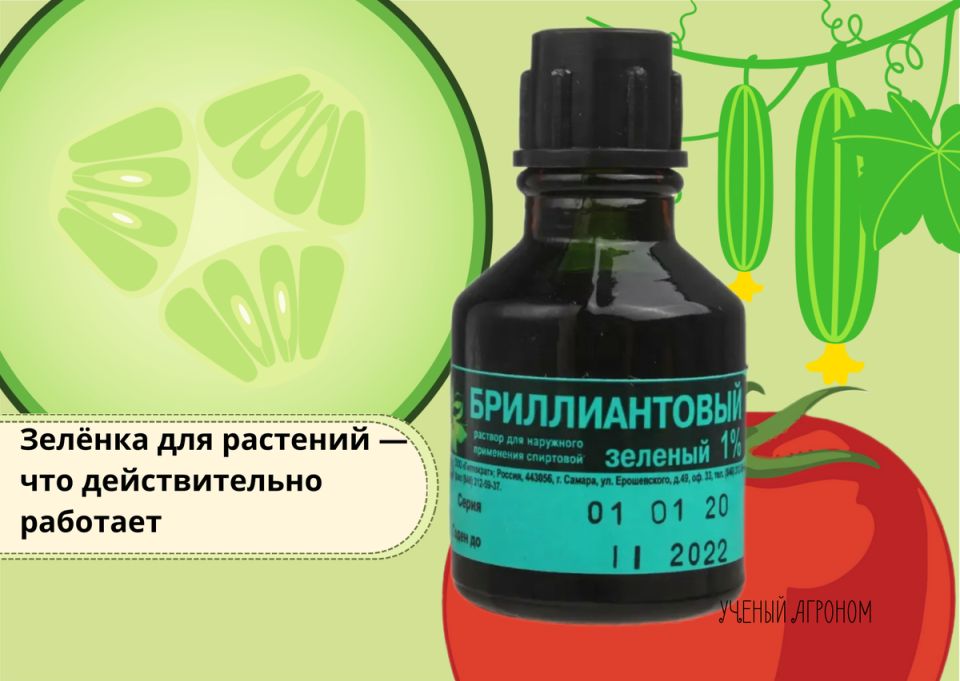 ������ ��� ��������: ������ ��� ��� ������� ������