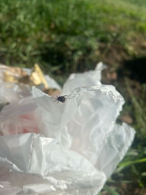 � ������ ����� � ���������� ������� ����� �������� 50 �������