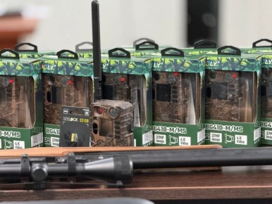 ���������� ��������� �������� ����������� �����������