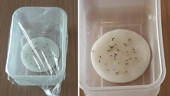 ����� ��� ���� � �����������: ����� ������ ��������� � �������������