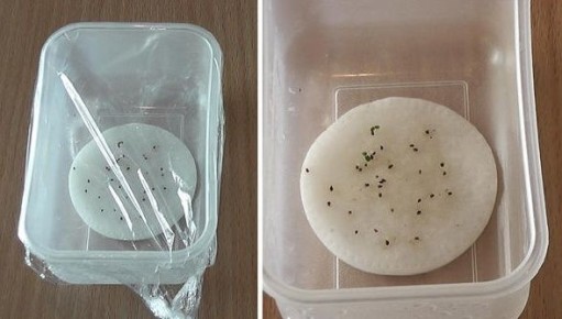 ����� ��� ���� � �����������: ����� ������ ��������� � �������������