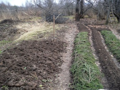 ����������� � ���������: ������ ��������� ���������� ������������ �� ����������� �������