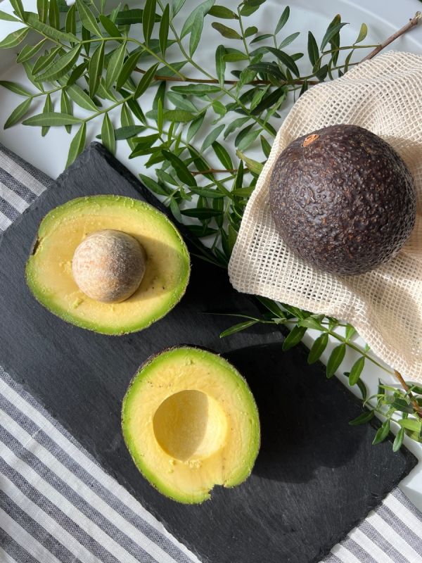 �������: ������ �������� � ������������ �������� ������� �����������