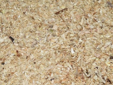 ������: ������� ��������� ������������� ��� ��������