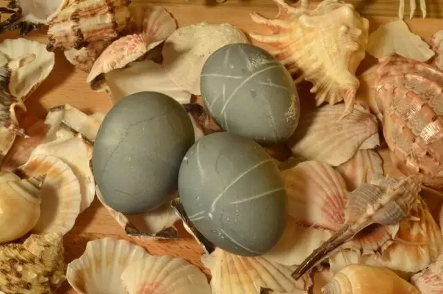 Как окрасить яйца в синий цвет с помощью натуральных ингредиентов