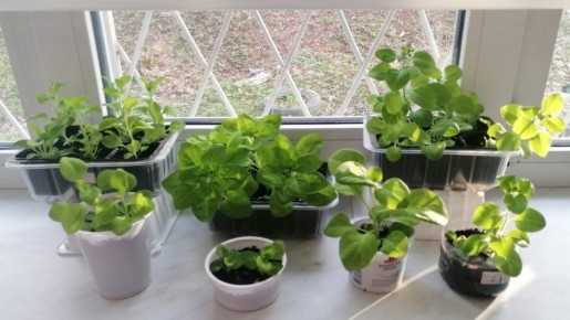 ��� ������� �������� �������� ���������� ������� ������� �������