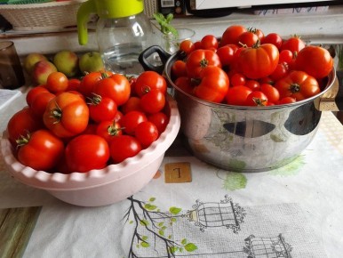 ��� ��������� ������� �������� �� ����: ������� ������������