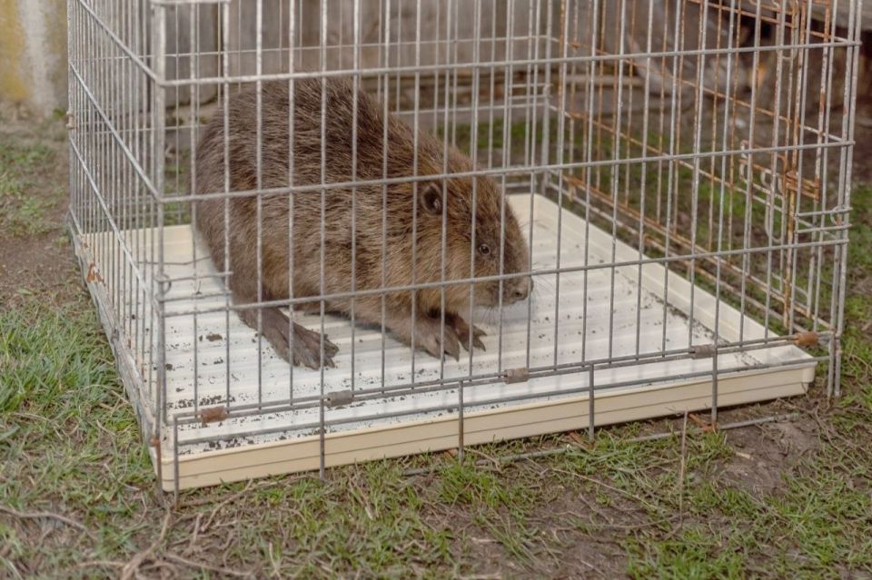 � ���������� ������� ���� ������ �� ���� ����������� ����� ��������