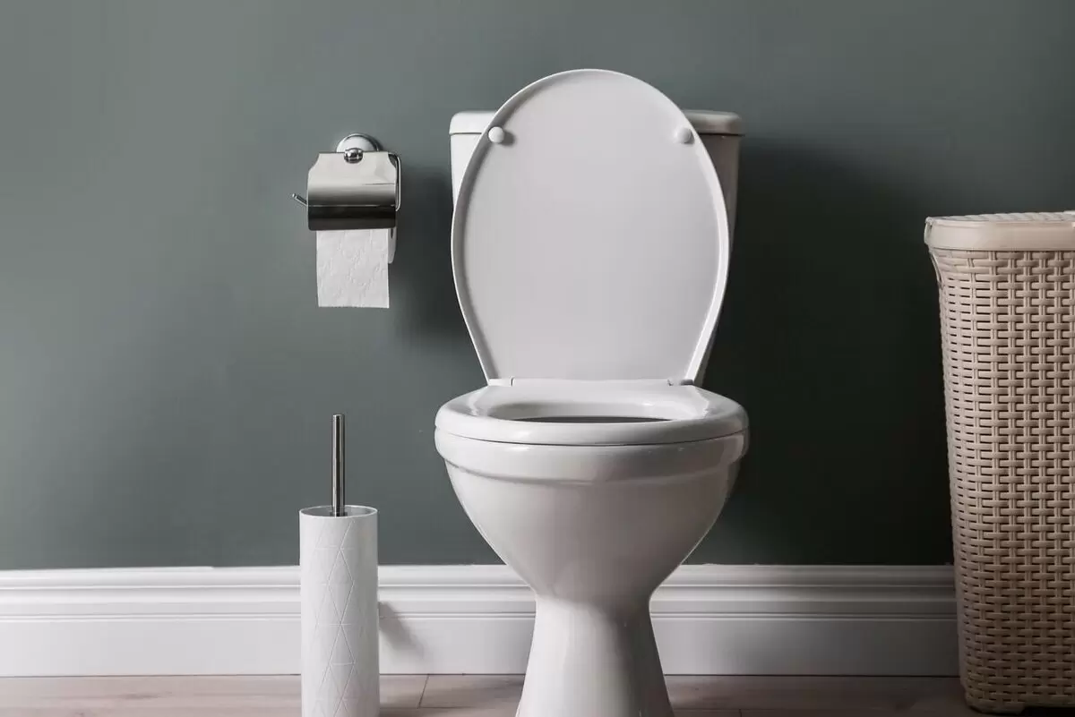 Эффективные методы устранения запахов в туалете