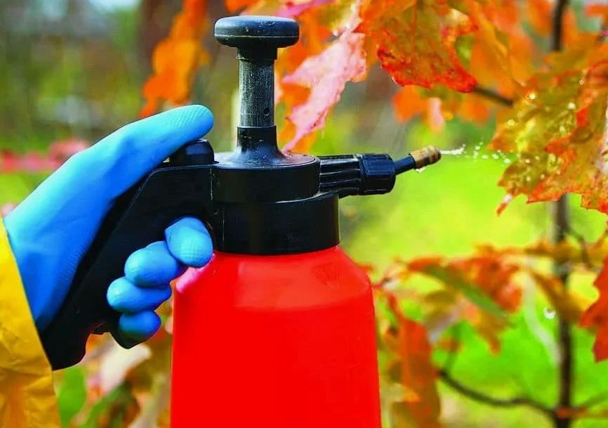 ������������ �������� ������: ������� ��������� ������