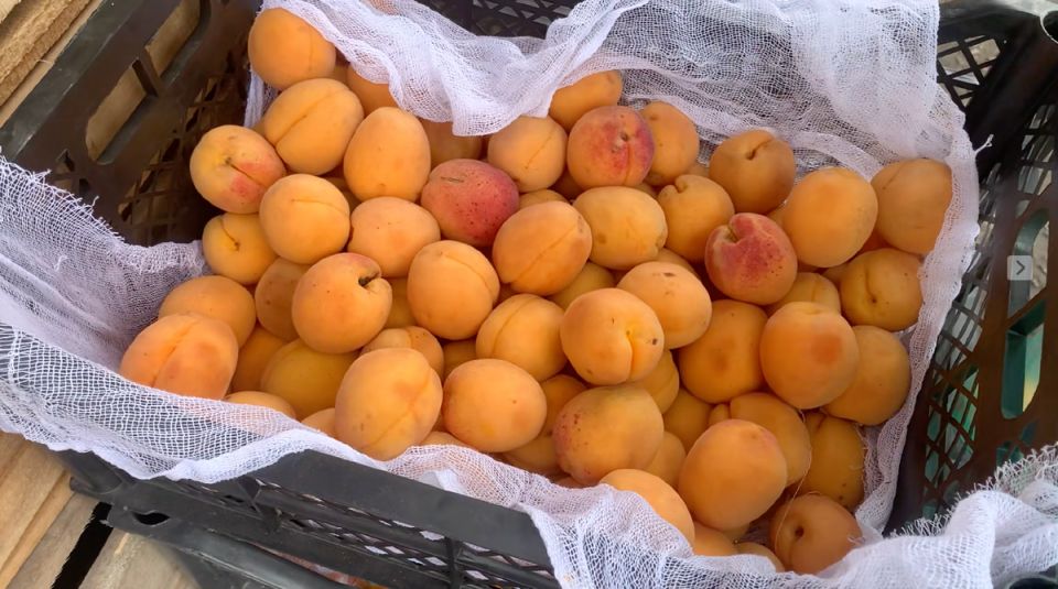 ��� �������� ����������� �������: �������� ������ � ��������