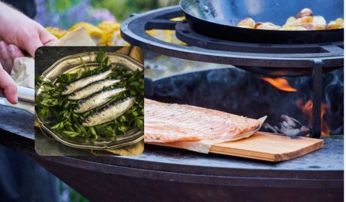 �������: ����������� ������ �� ������ ����������