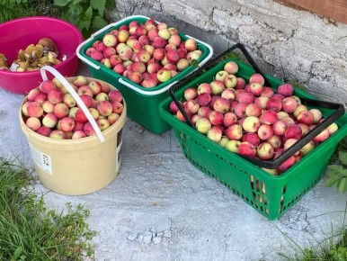 ������ ����� ������ ���� ������: �� ������� �������� �������� � ��������