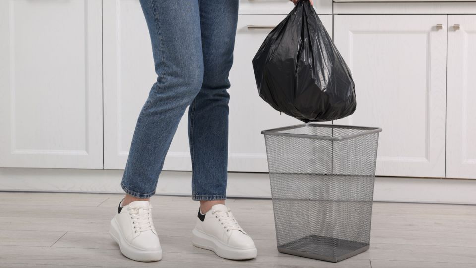 ���� ������� �������: 17 ���������, �� ������� ����� ���������� �� �����