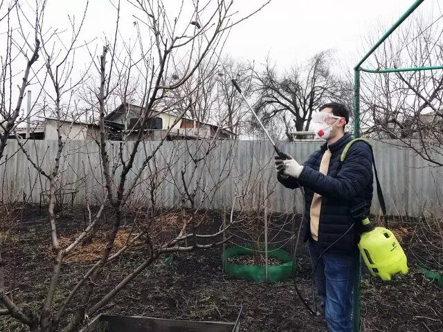 ��� ����������� ��� � ����: ������ ������� ���������