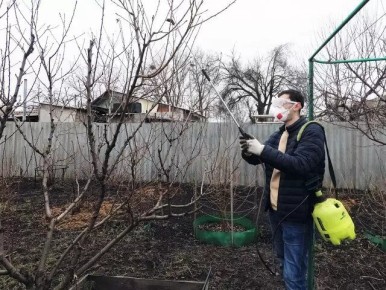 ��� ����������� ��� � ����: ������ ������� ���������