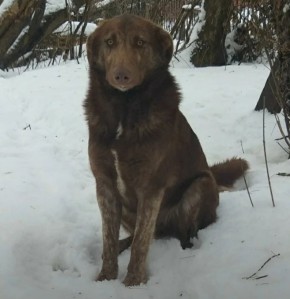 ���� �����: ������ ���� ���