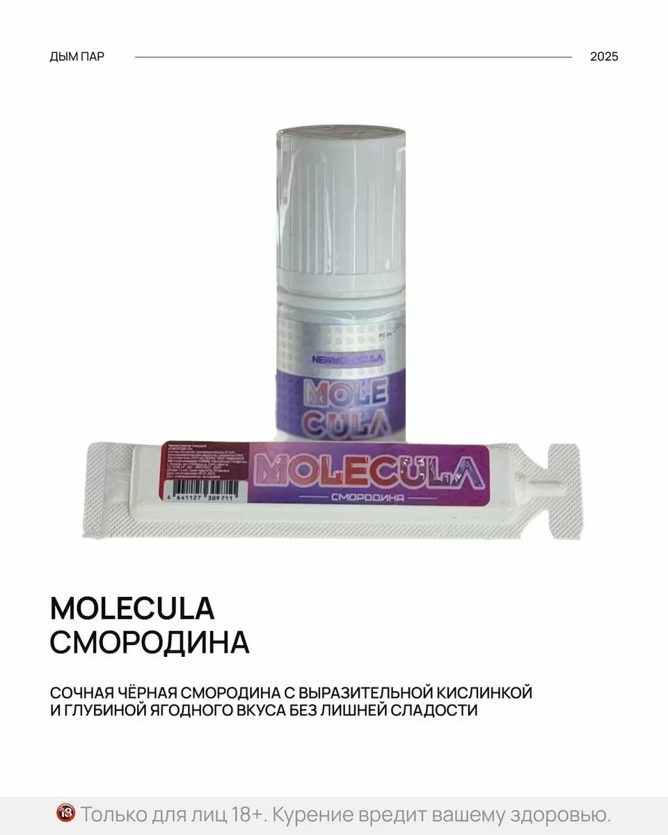 Яркий вкус черной смородины от MOLECULA