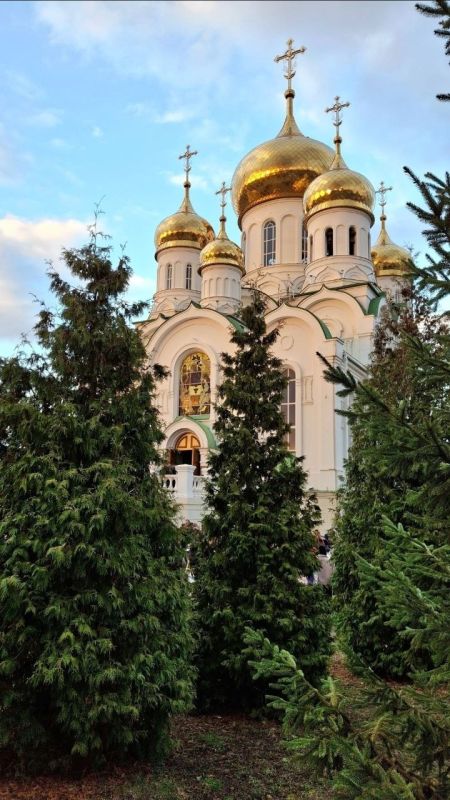 �������� ������. ���� �������������/�� "�������� ������"