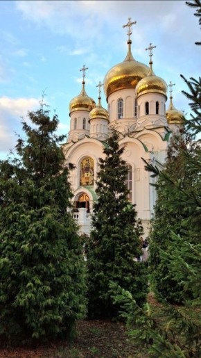 �������� ������. ���� �������������/�� "�������� ������"