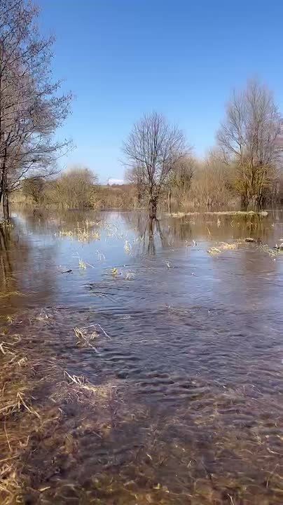 � ����������� ����������� ���� �� ���������� ���������