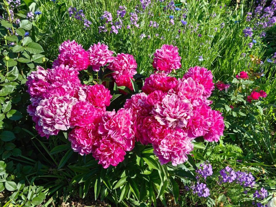 ��������� ������� ������: ��� ���������� �������� ������