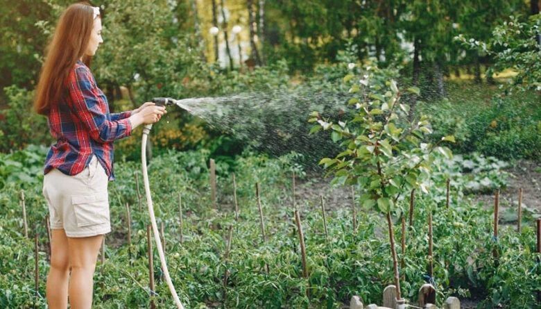 ��� ������� ������ �� ���� � ����� ������ ��������, ���������� � ����-������