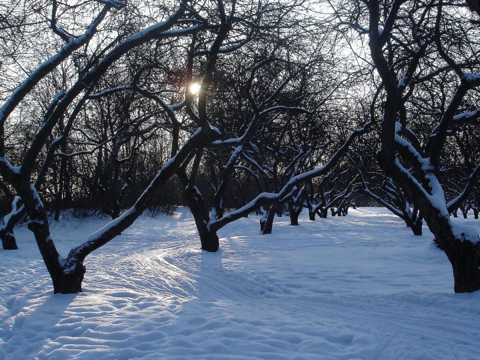 ������ �� �����: ��� ������ � ������������� �������� � �������